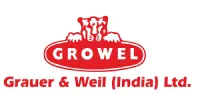 Grauer & Well Logo